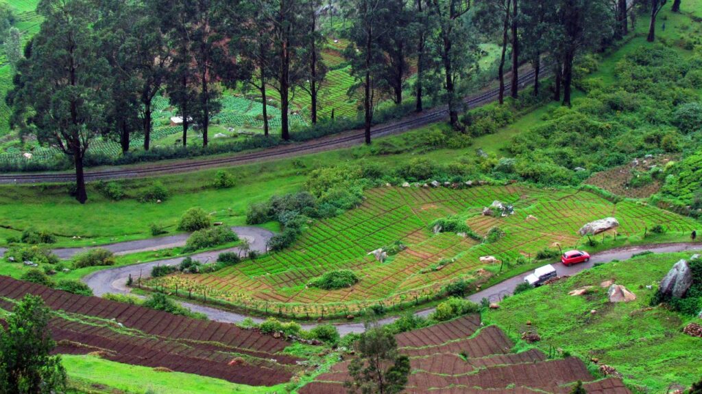 Coimbatore To Ooty Pack Trip Tours And Travels
